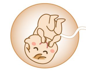 f:id:nonezumiotoko:20190527210652j:plain