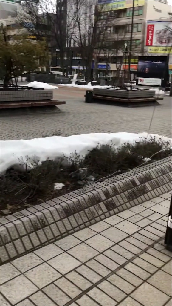f:id:nonfuji_chan:20220619001148j:image