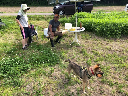 f:id:noniaru:20190527085044j:image