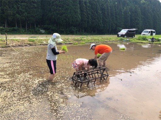 f:id:noniaru:20190527085124j:image