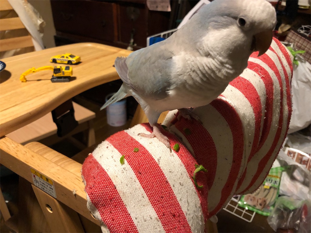 f:id:noniaru:20190707082618j:image
