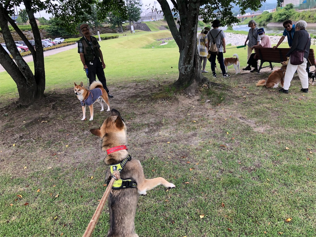 f:id:noniaru:20190708122516j:image f:id:noniaru:20190708122516j:image