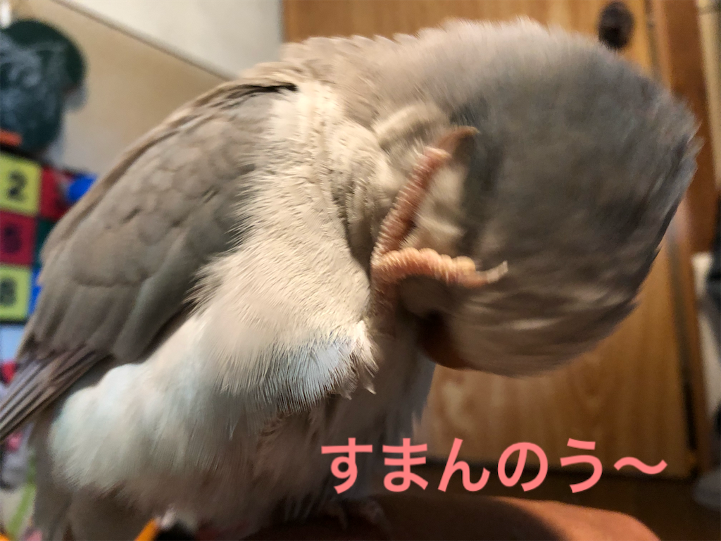 f:id:noniaru:20190711114658p:image f:id:noniaru:20190711114658p:image