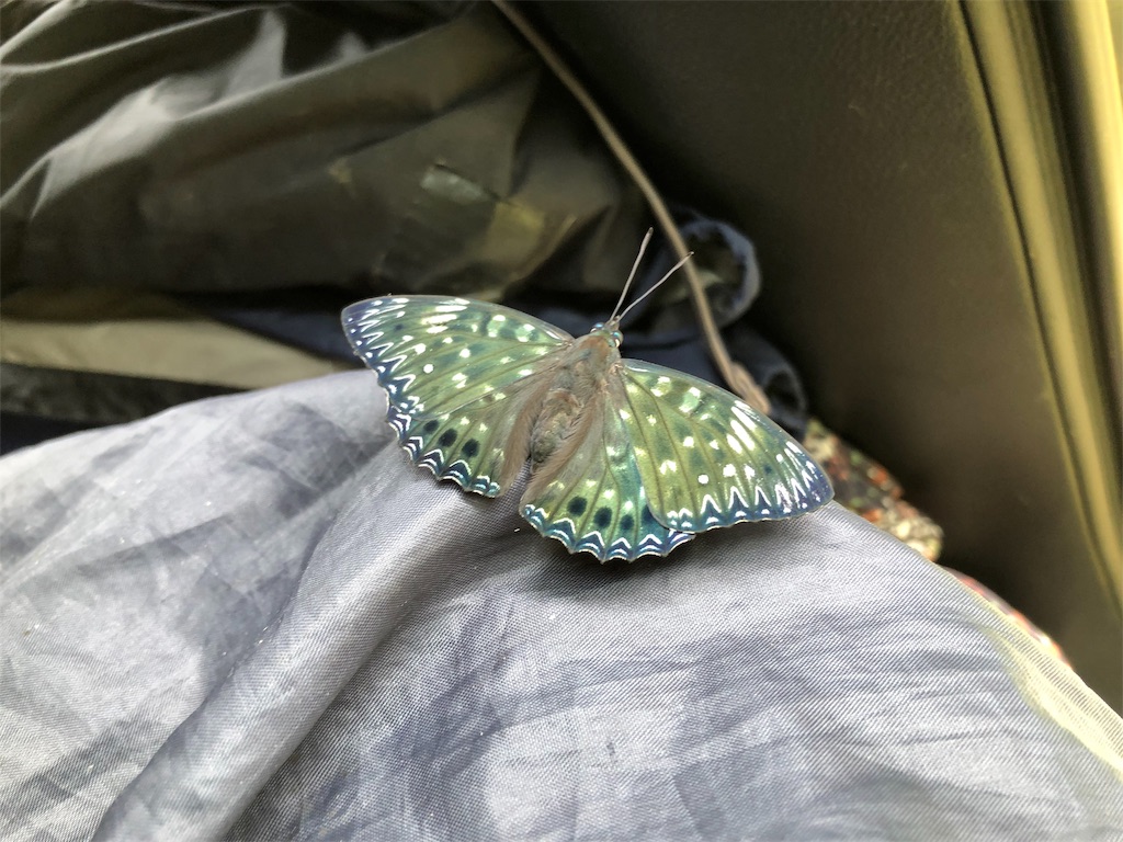 f:id:noniaru:20190731131229j:image