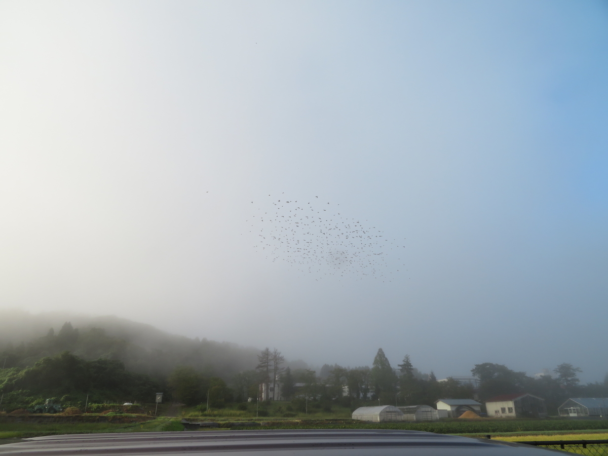 f:id:noniaru:20191003143441j:plain f:id:noniaru:20191003143441j:plain