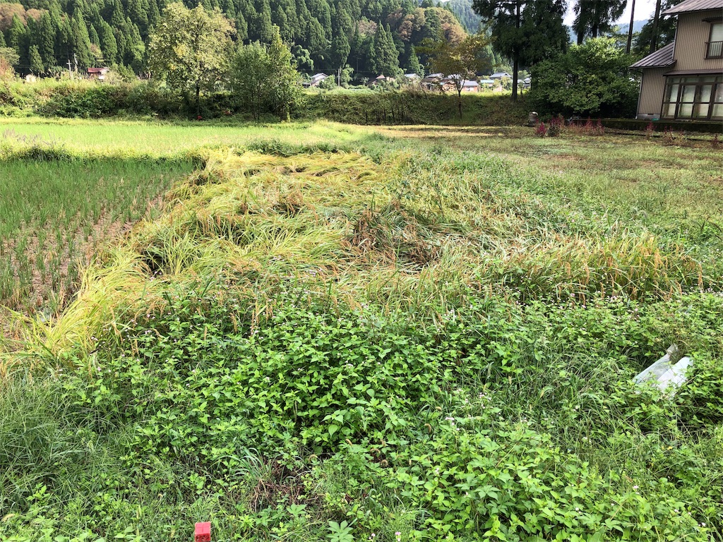 f:id:noniaru:20191005224114j:image