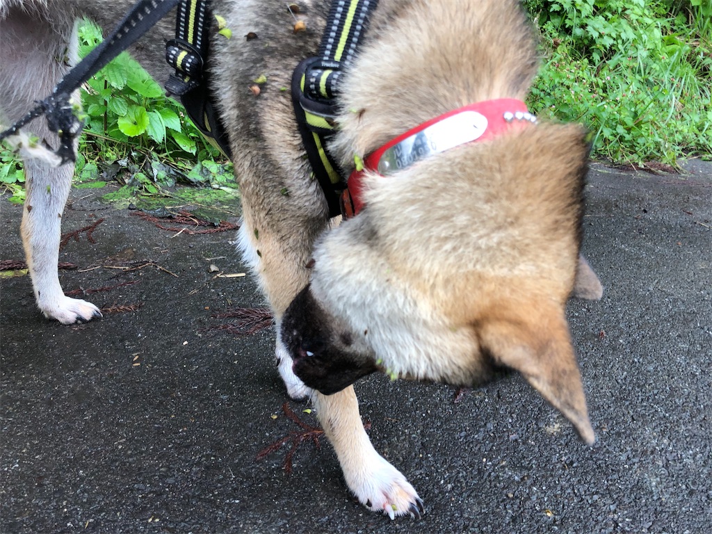 f:id:noniaru:20191030092913j:image f:id:noniaru:20191030092913j:image
