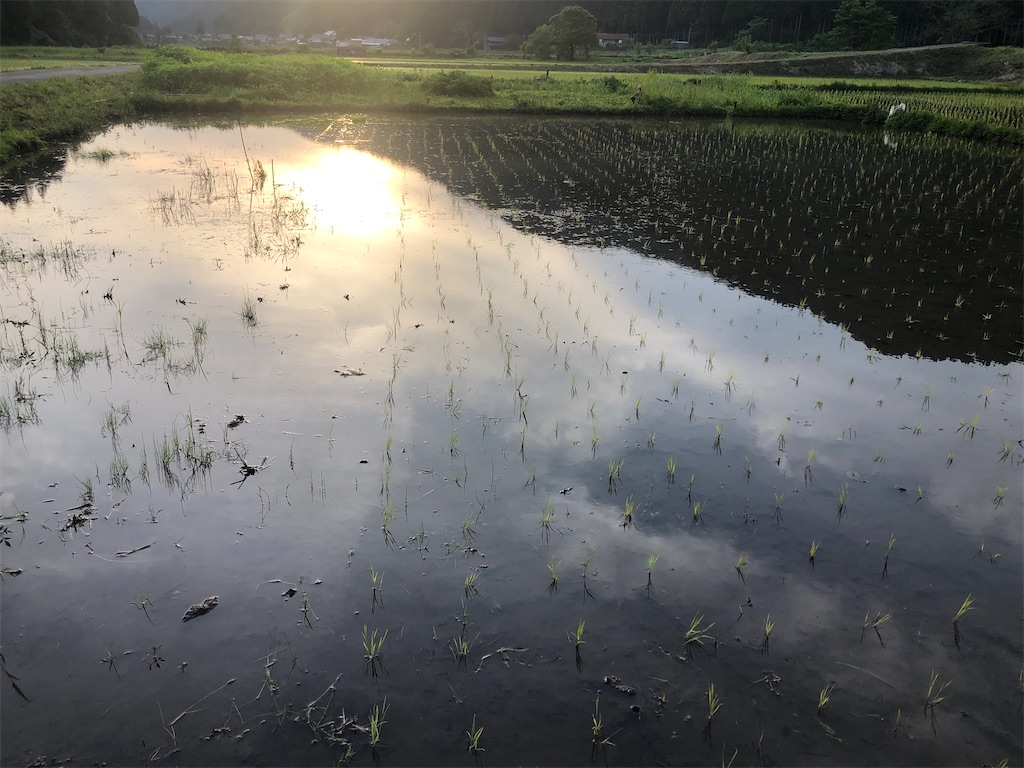 f:id:noniaru:20210619163025j:image