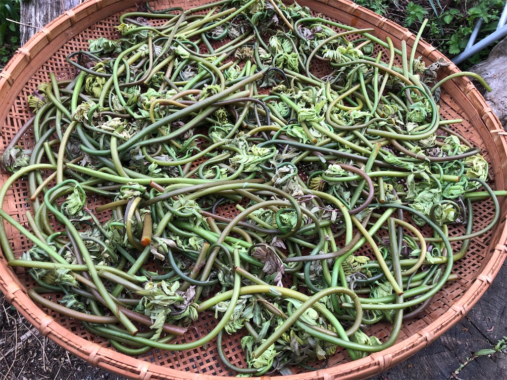 f:id:noniaru:20220426135504j:image f:id:noniaru:20220426135504j:image