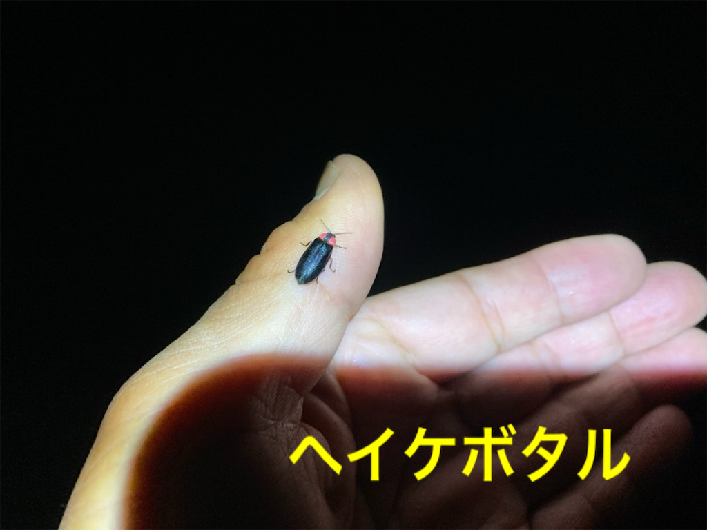 f:id:noniaru:20250607103547p:image