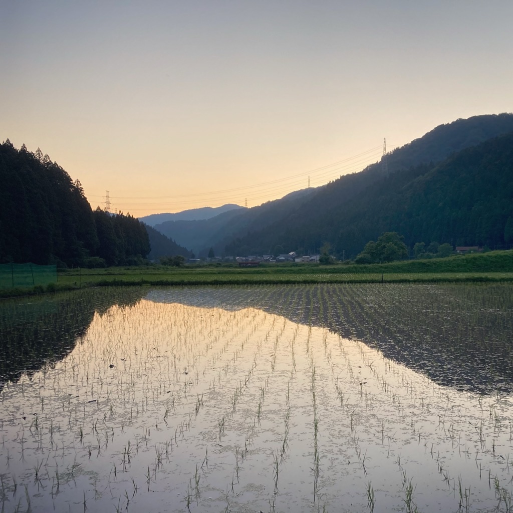 f:id:noniaru:20260601000602j:image