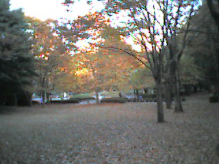 f:id:nonishi:20101113005606j:image