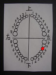 f:id:nonishi:20121020144947j:image