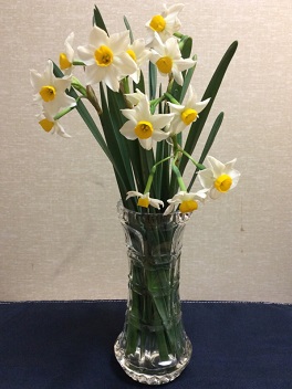 f:id:nonishi:20151224220303j:image f:id:nonishi:20151224220303j:image