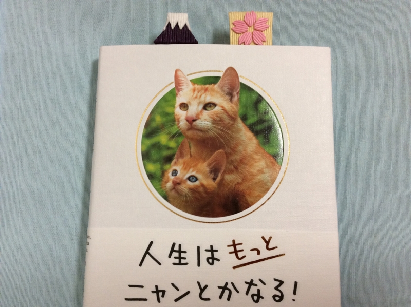 f:id:nonishi:20160319170311j:image:w360 f:id:nonishi:20160319170311j:image:w360