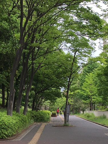 f:id:nonishi:20210505164809j:plain