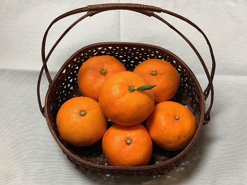 f:id:nonishi:20211201183345j:plain
