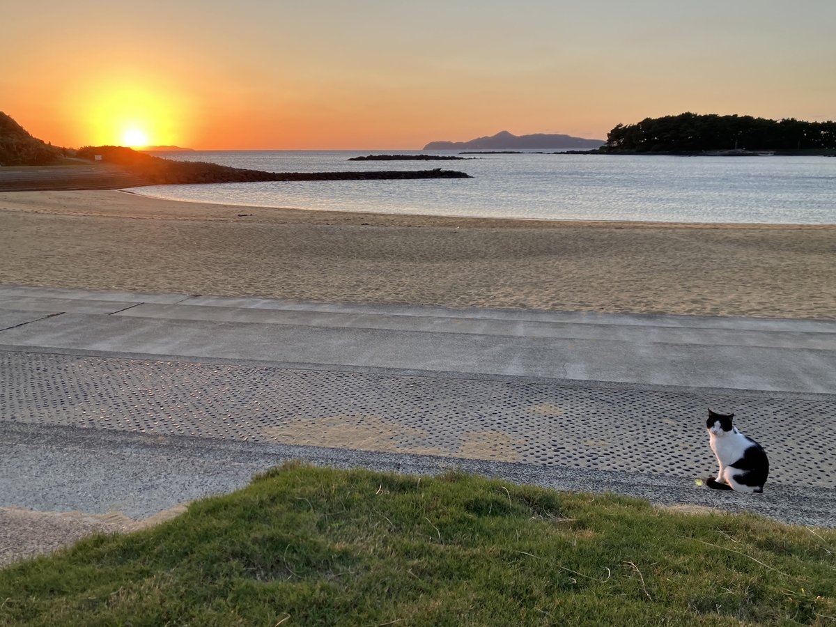 波戸岬” の夕陽は心が洗われるほどに？美しかったのです - ノンキーjr