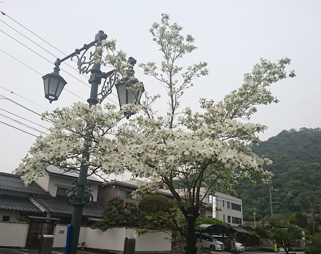 f:id:nonkiryoku:20200426185525j:plain