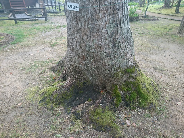 f:id:nonkiryoku:20200426185906j:plain
