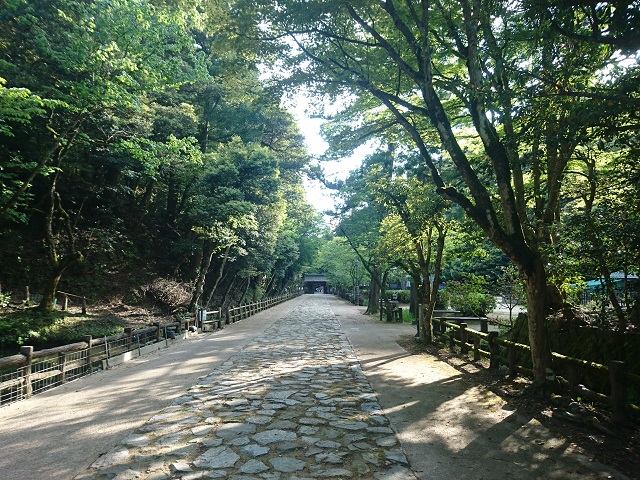 f:id:nonkiryoku:20200506190842j:plain