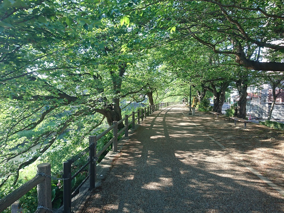 f:id:nonkiryoku:20200513182304j:plain