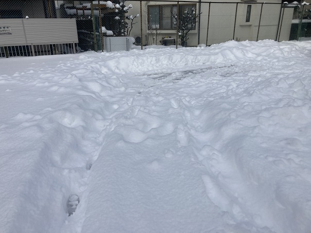 f:id:nonkiryoku:20211227200721j:plain