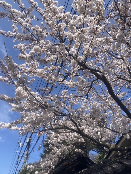 f:id:nonkiryoku:20220402170009j:plain