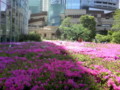 20090426140923