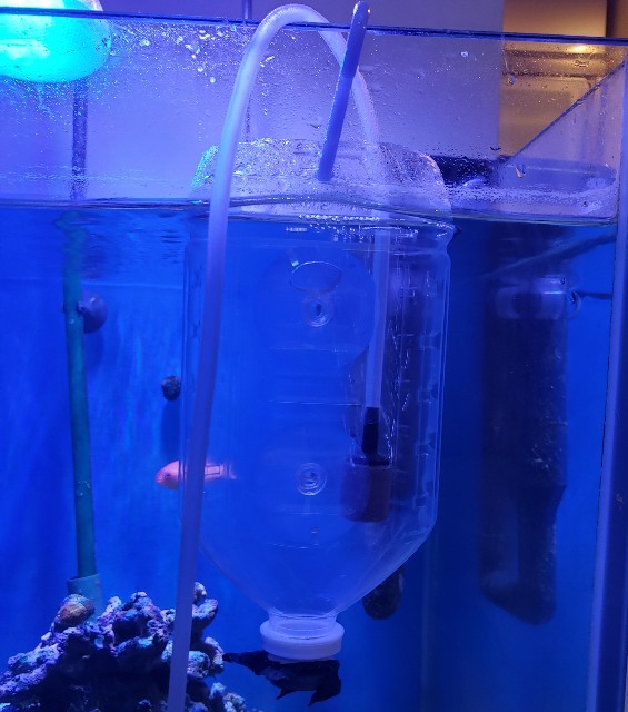 f:id:nonkun250:20191111234858j:image f:id:nonkun250:20191111234858j:image
