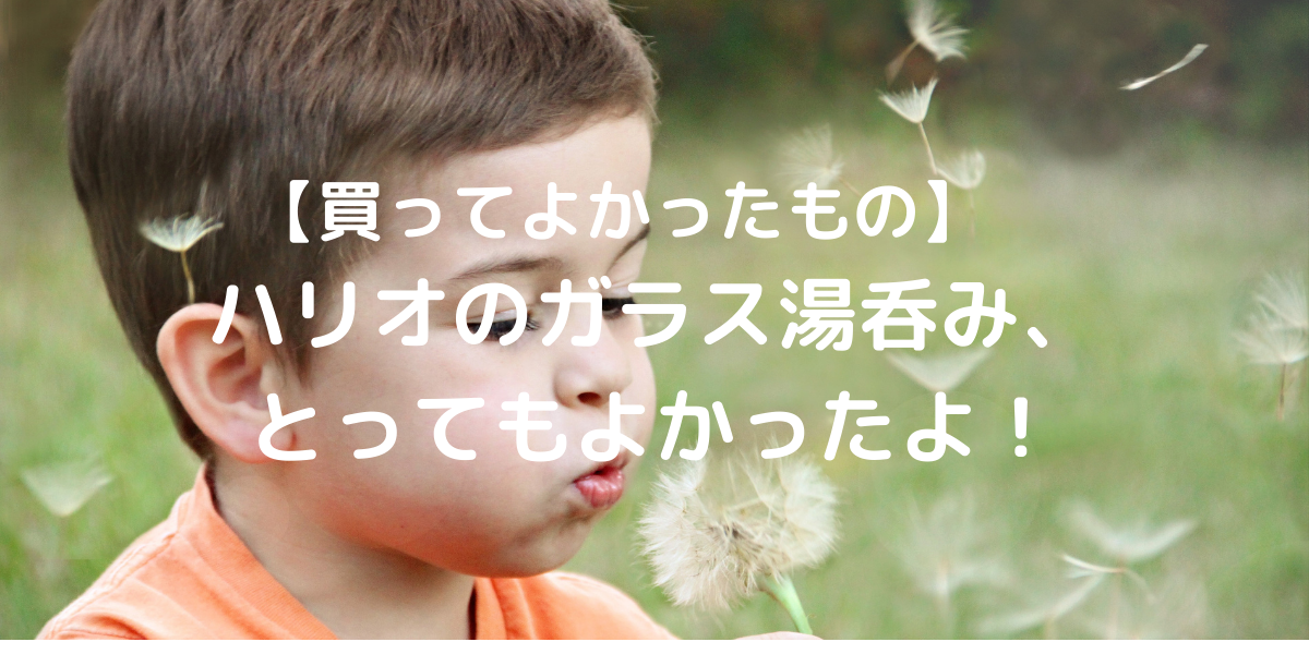 【買ってよかったもの】ハリオのガラス湯呑み - ずぼらでのんびり田舎暮らし のアイキャッチ画像
