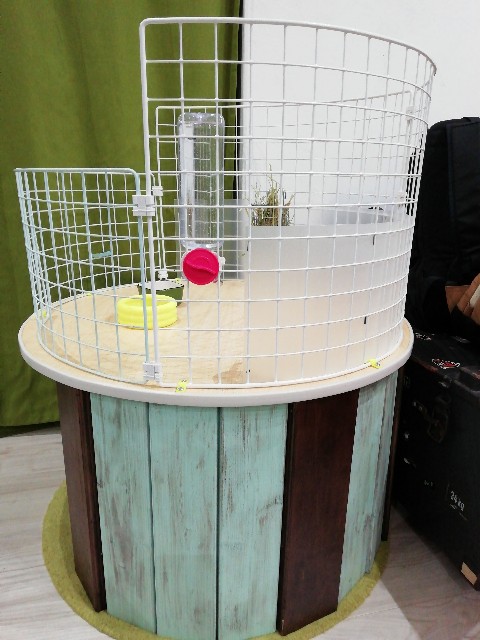 f:id:nonnonpapa:20210526142732j:image