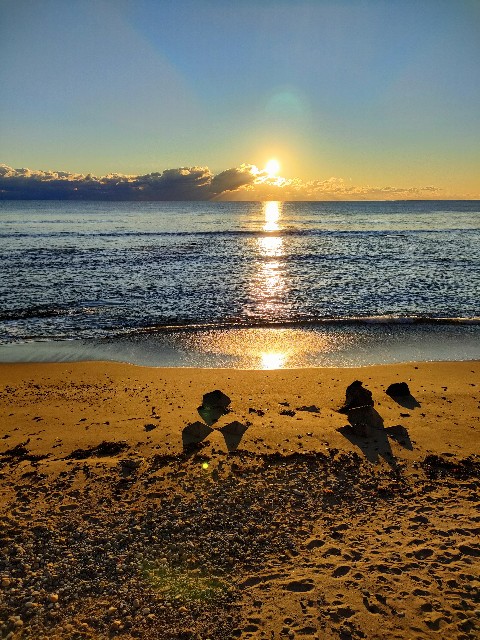 f:id:nonnonpapa:20220104132954j:image f:id:nonnonpapa:20220104132954j:image