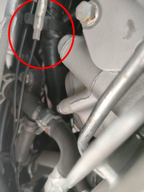 f:id:nonnonpapa:20240612143721j:image f:id:nonnonpapa:20240612143721j:image