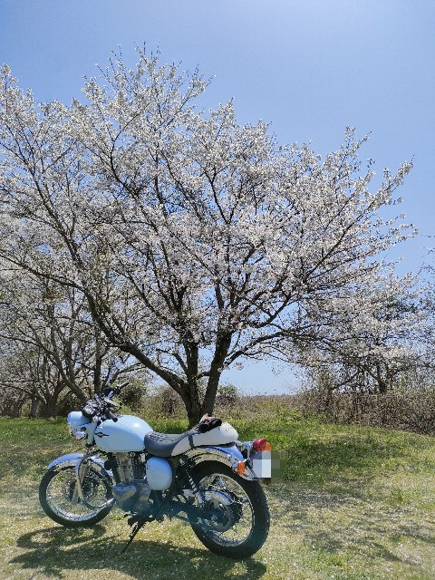 f:id:nonnonpapa:20240718184038j:image f:id:nonnonpapa:20240718184038j:image