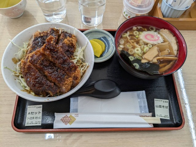 f:id:nonnonpapa:20241119140126j:image