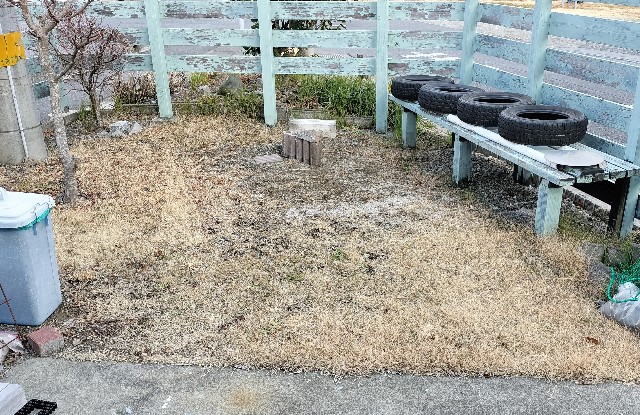 f:id:nonnonpapa:20250422143623j:image