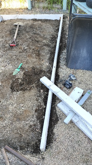 f:id:nonnonpapa:20250422144004j:image