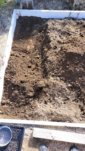 f:id:nonnonpapa:20250422144319j:image