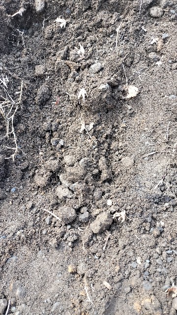 f:id:nonnonpapa:20250422144352j:image