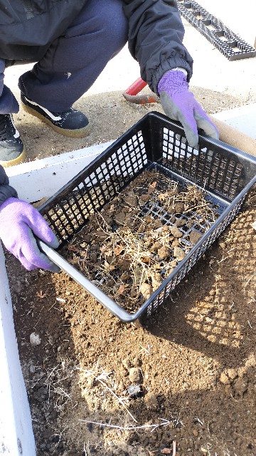 f:id:nonnonpapa:20250422144436j:image