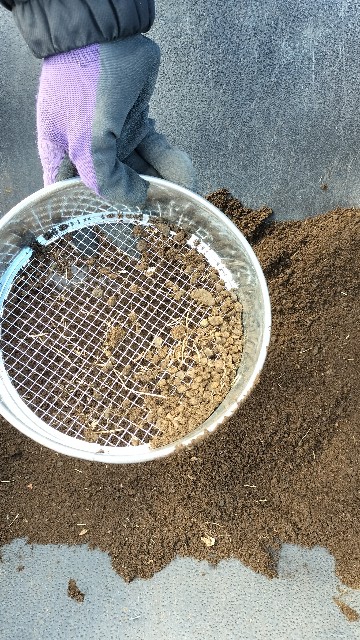 f:id:nonnonpapa:20250422144635j:image