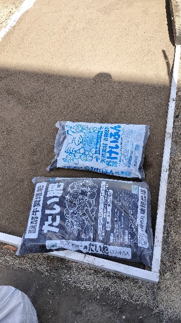 f:id:nonnonpapa:20250422145653j:image