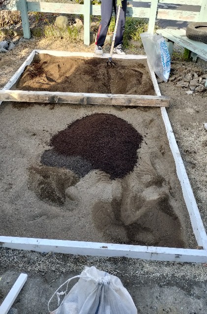 f:id:nonnonpapa:20250422150200j:image