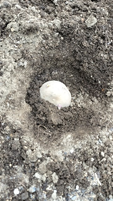 f:id:nonnonpapa:20250513140620j:image