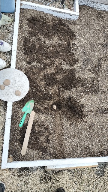 f:id:nonnonpapa:20250513140636j:image