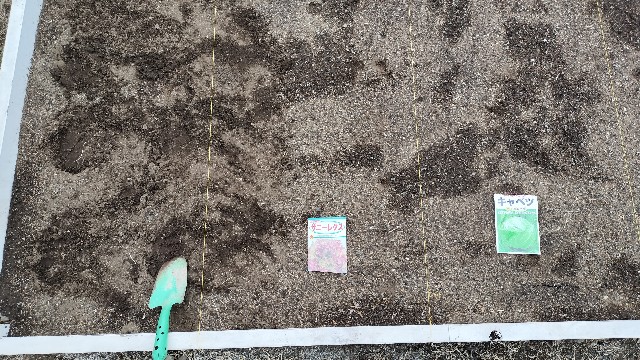 f:id:nonnonpapa:20250513141401j:image