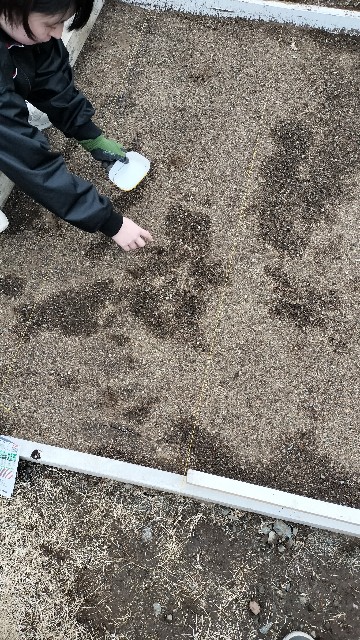 f:id:nonnonpapa:20250513141425j:image