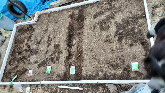 f:id:nonnonpapa:20250513154017j:image