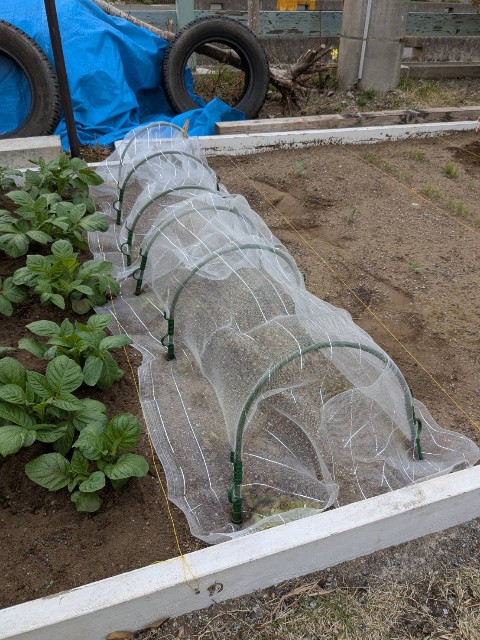 f:id:nonnonpapa:20250515135720j:image